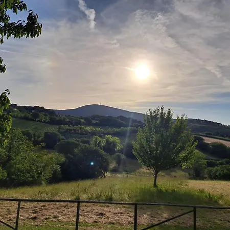 Feriehus La Tana Del Conero Camerano